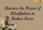 The Power of Mindfulness in Reducing Stress
